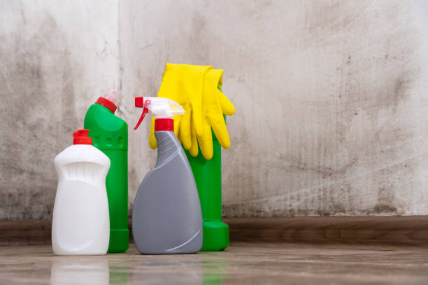 Why You Should Choose Our Mold Remediation Services in Highland Park, PA